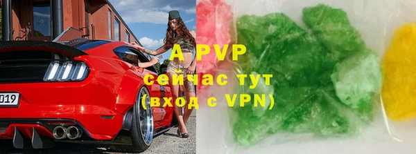 шишки Арсеньев