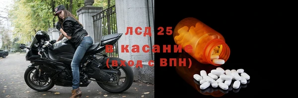 шишки Арсеньев