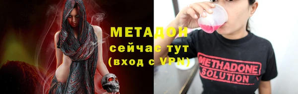 шишки Арсеньев