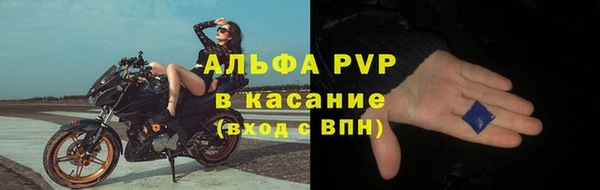 шишки Арсеньев