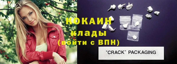шишки Арсеньев