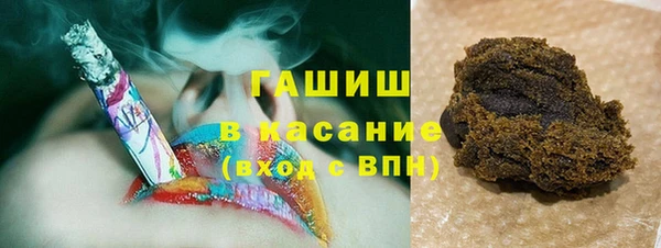 шишки Арсеньев